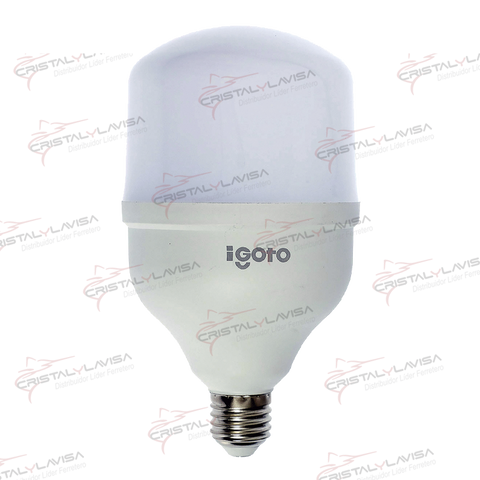 F10520 FOCO LED TIPO BULBO "T" 20W LUZ FRIA IGOTO             Empaque de 6