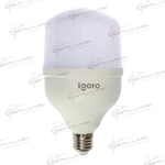 F10530 FOCO LED TIPO BULBO T 30 W LUZ FRIA IGOTO              Empaque de 6