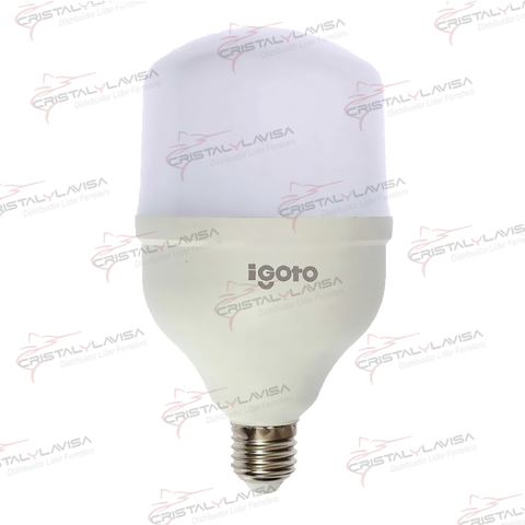 F10530 FOCO LED TIPO BULBO T 30 W LUZ FRIA IGOTO              Empaque de 6