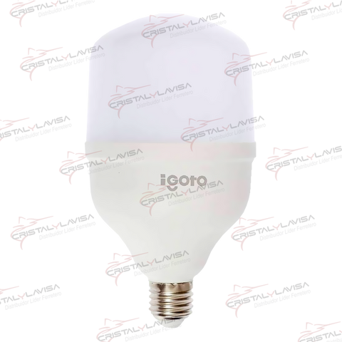 F10540 FOCO LED TIPO BULBO T 40 W LUZ FRIA IGOTO              Empaque de 5