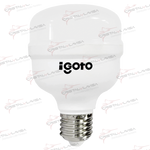 F20520 FOCO LED ALTA POTENCIA 20 W LUZ CALIDA IGOTO           Empaque de 6