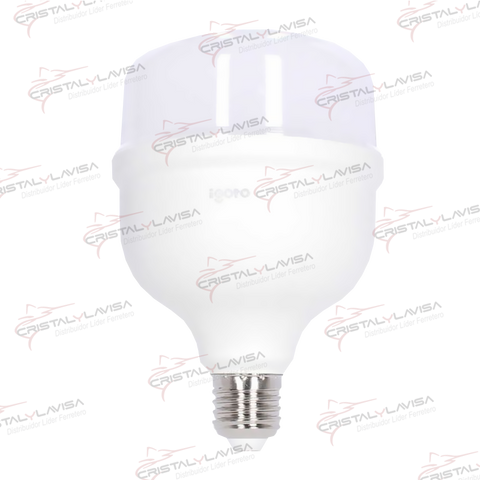 F20530 FOCO LED ALTA POTENCIA 30 W LUZ CALIDA IGOTO           Empaque de 6